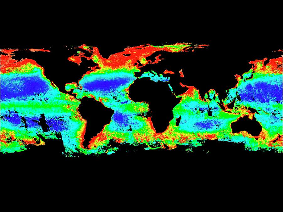 Global Chlorophyll Levels Photograph by Nasa/gsfc-svs - Pixels