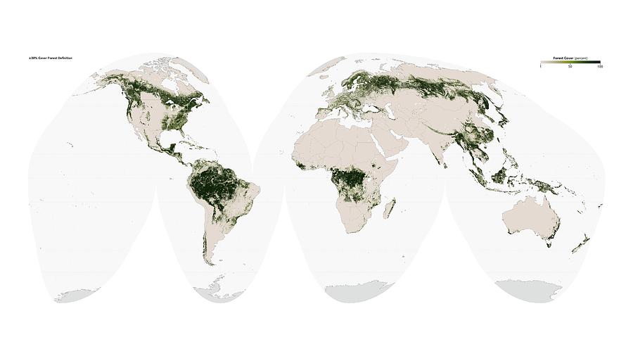 Global Forest Cover Photograph by Nasa Earth Observatory/university Of Marylands Global Land Cover Facility