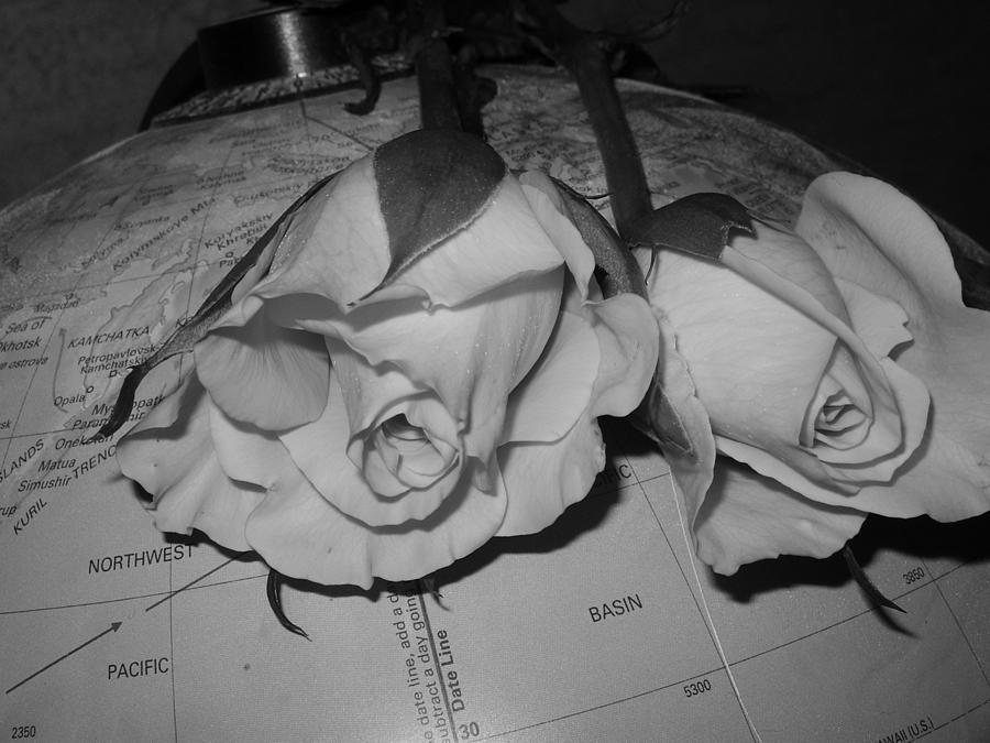 Global Monochrome Roses Photograph by Sandra Foster