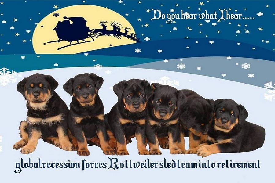 Global Recession Forces Christmas Sled Team Into Retirement Photograph by Taiche Acrylic Art