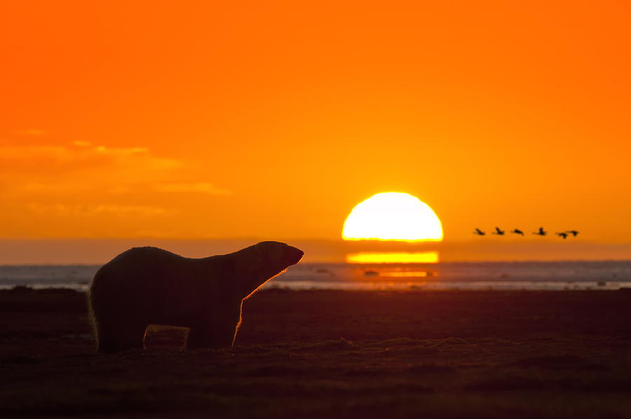 Sunset Photograph - Global warming by Paul Jodoin