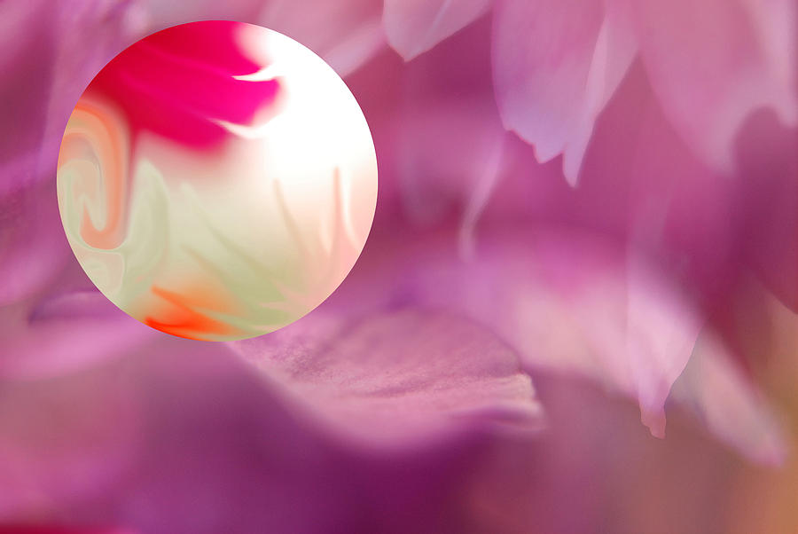 Abstract Photograph - Globe on the Petals of Life by Lyn  Perry