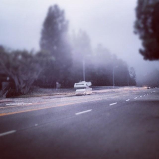 Mdr Photograph - #gloom In #mdr #fog by Melissa DuBow