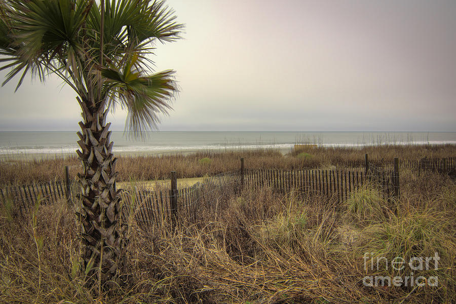 Cloudy Photograph - Gloomy Morning by Matthew Trudeau Cloudy Photograph - Gloomy Morning by Matthew Trudeau