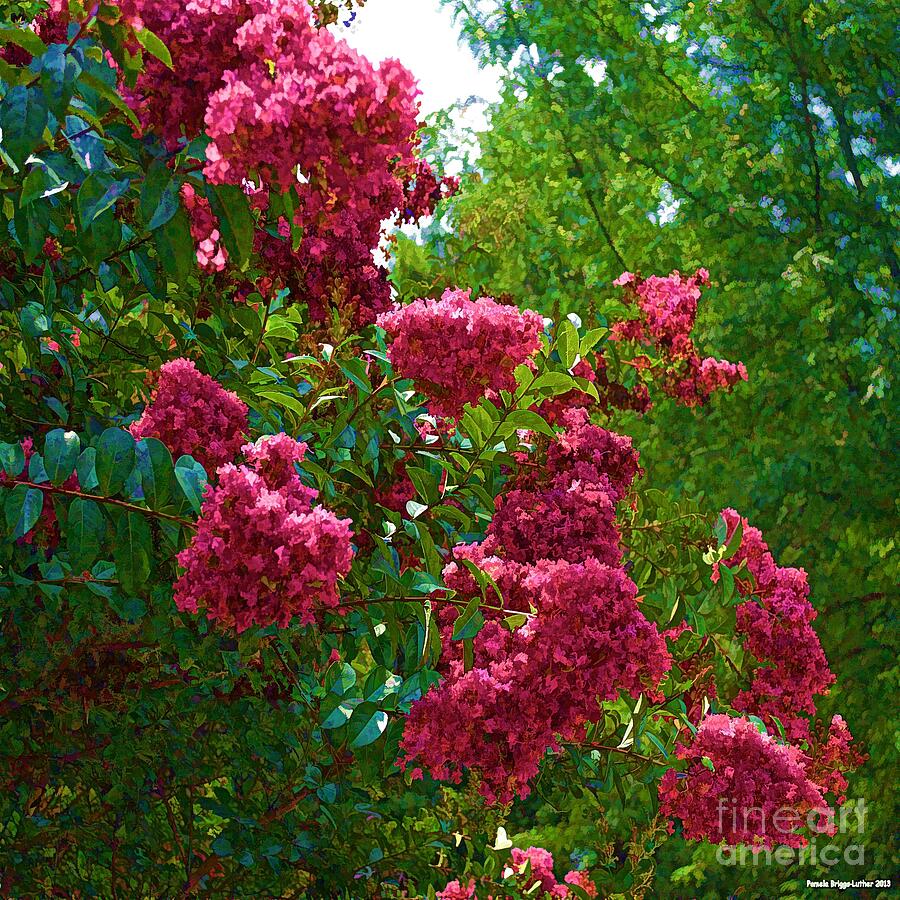 Glorious Crepe Myrtle Digital Art by Luther Fine Art