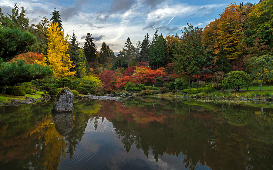 Glorious Fall Gardens Photograph By Mike Reid - Pixels