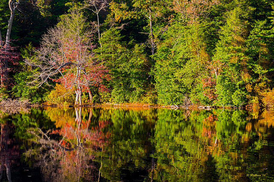 Glorious Fall Reflections Photograph by Brian Wallace