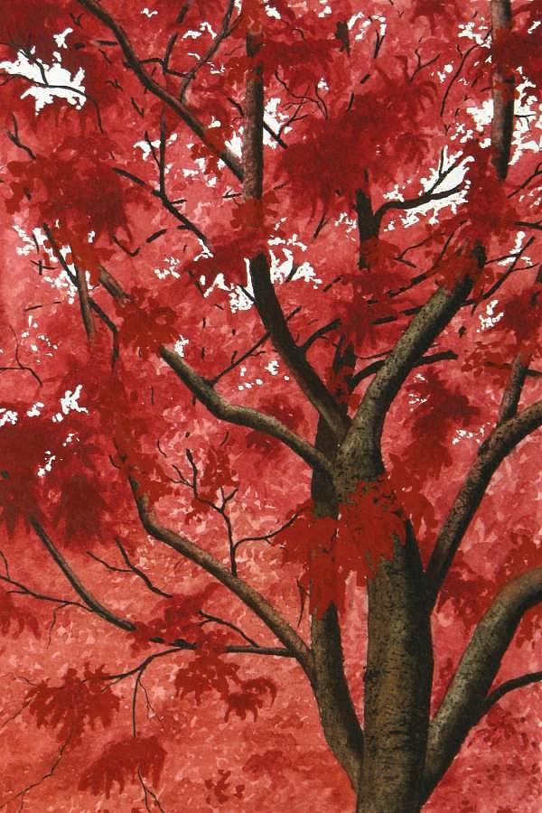 Nature Painting - Glorious Maple by Lynda Grant