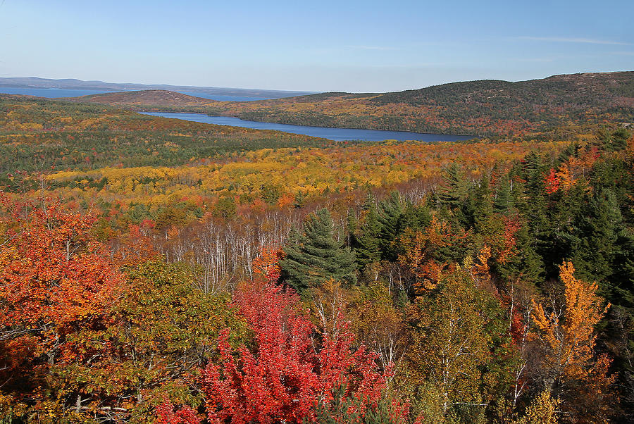 Glorious New England Fall Foliage Colors Photograph by Juergen Roth