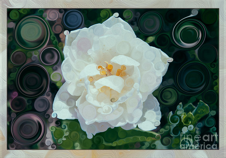 Glorious White Rose Abstract Flower Painting Painting by Omaste Witkowski