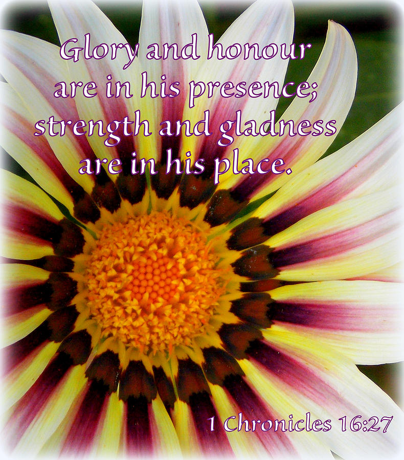 Glory and Honour Photograph by Sheri McLeroy