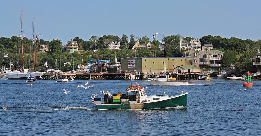 Gloucester MA Harbor 2 Photograph by Michael Saunders