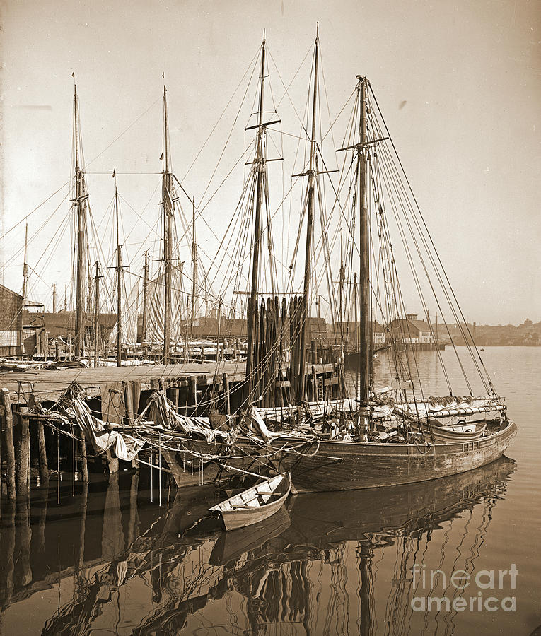 Gloucester Massachusetts Wharf 1905 Photograph by Padre Art
