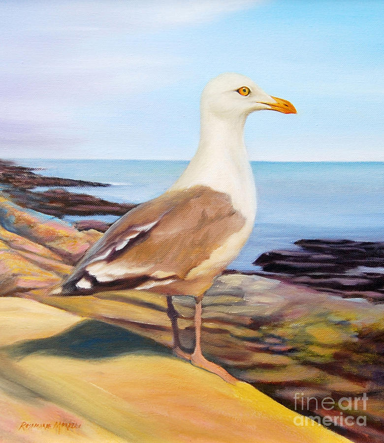 Gloucester Seagull Painting by Rosemarie Morelli
