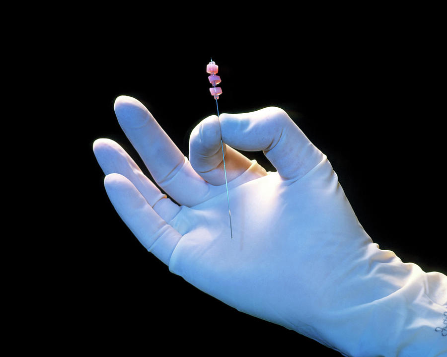 Hand Photograph - Gloved Hand Holding Discs Of Artificial Cartilage by Sam Ogden/science Photo Library