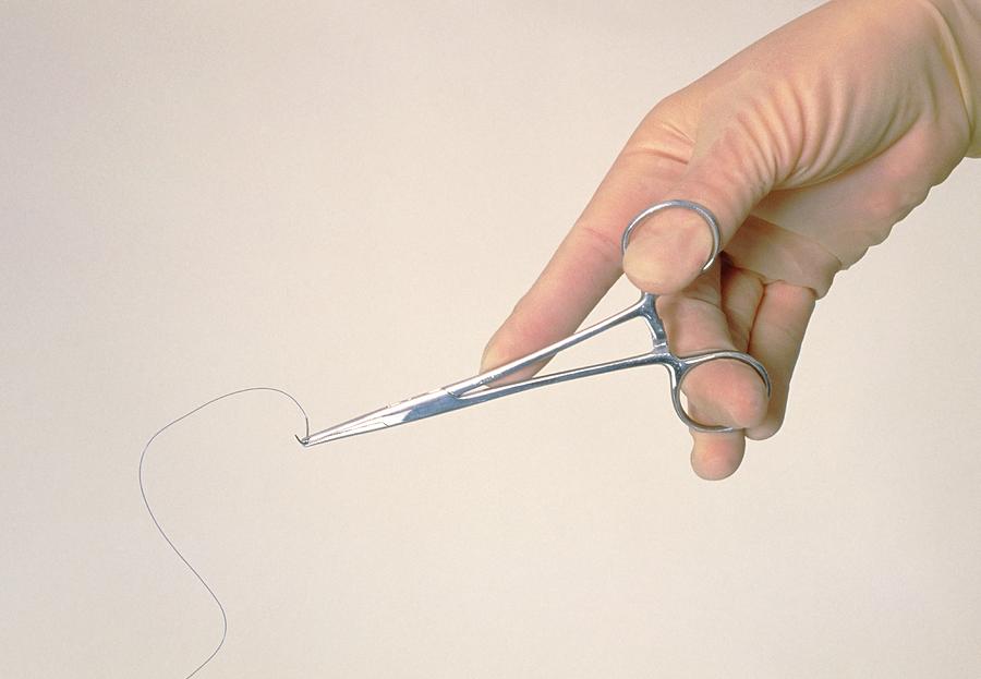 Gloved Hand Holds A Suture In Some Scissor Forceps Photograph by Claire Paxton & Jacqui Farrow/science Photo Library