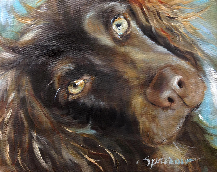 Boykin Spaniel Painting - Glow by Mary Sparrow
