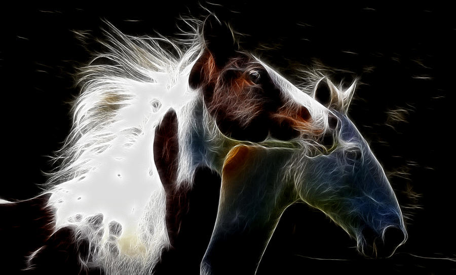 Glow of Running Horses Photograph by Athena Mckinzie