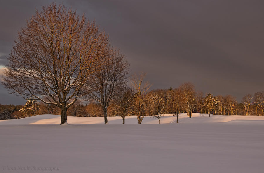 Landscape Photograph - Glow of the Morning by Diana Nault Landscape Photograph - Glow of the Morning by Diana Nault