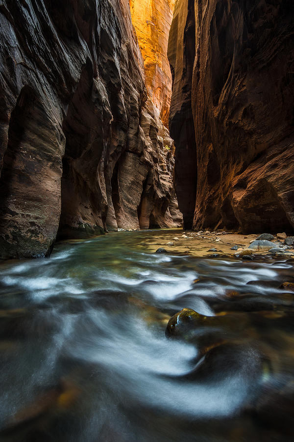 Zion National Park Photograph - Glow With The Flow by Guy Schmickle