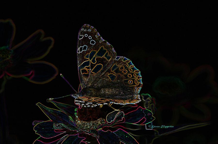 Glowing Butterfly 2 Photograph by Steven Clipperton