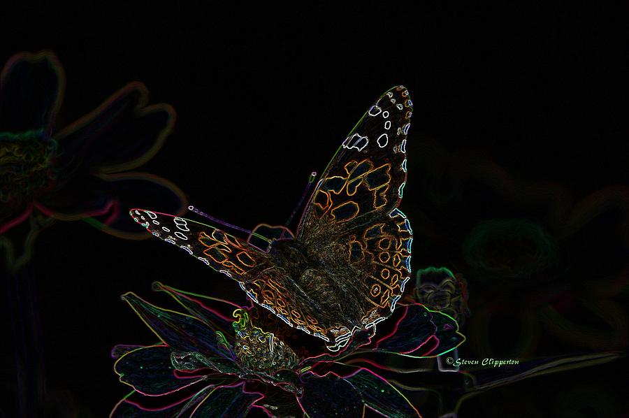Glowing Butterfly Photograph by Steven Clipperton