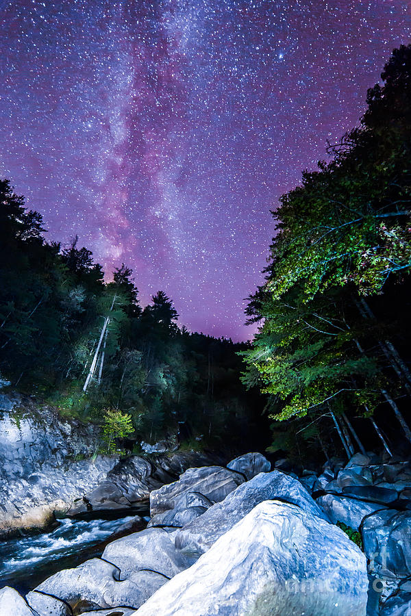 Glowing Creek Photograph by Robert Loe