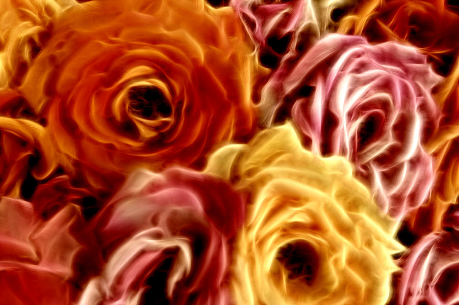 Glowing Full Roses Digital Art by Linda Phelps