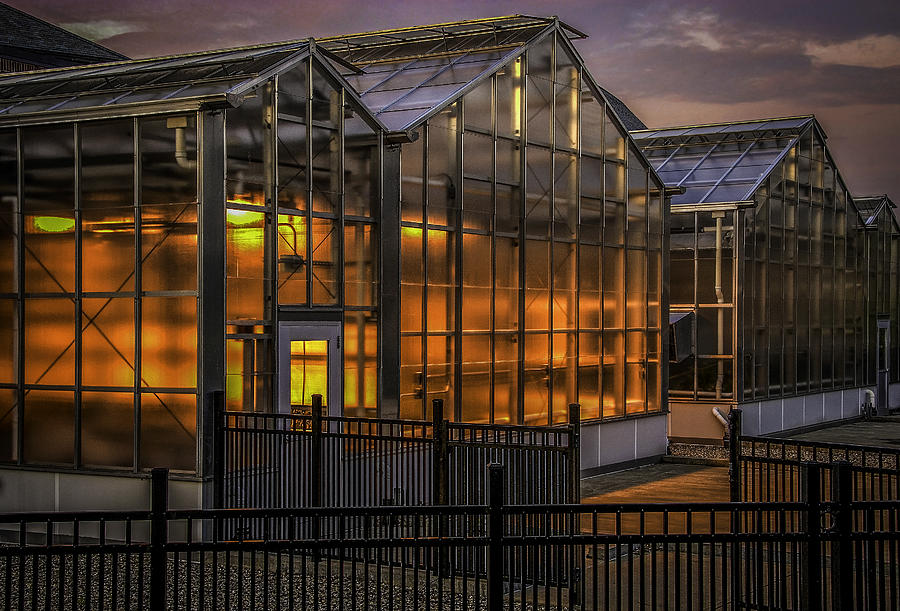Glowing Greenhouse Photograph by Phil Cardamone