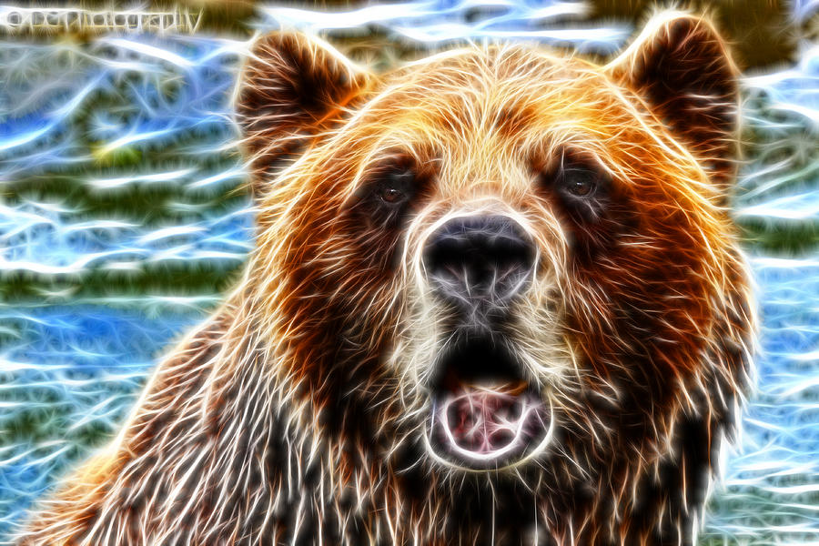 Glowing Grizzly Mixed Media by Davandra Cribbie