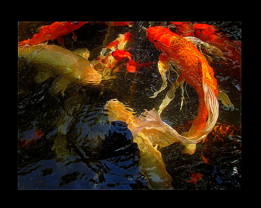 Glowing Koi Photograph by Shannon Story