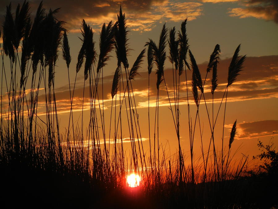 Glowing Orb - Landscape Photograph by Jaynie Jones - Fine Art America