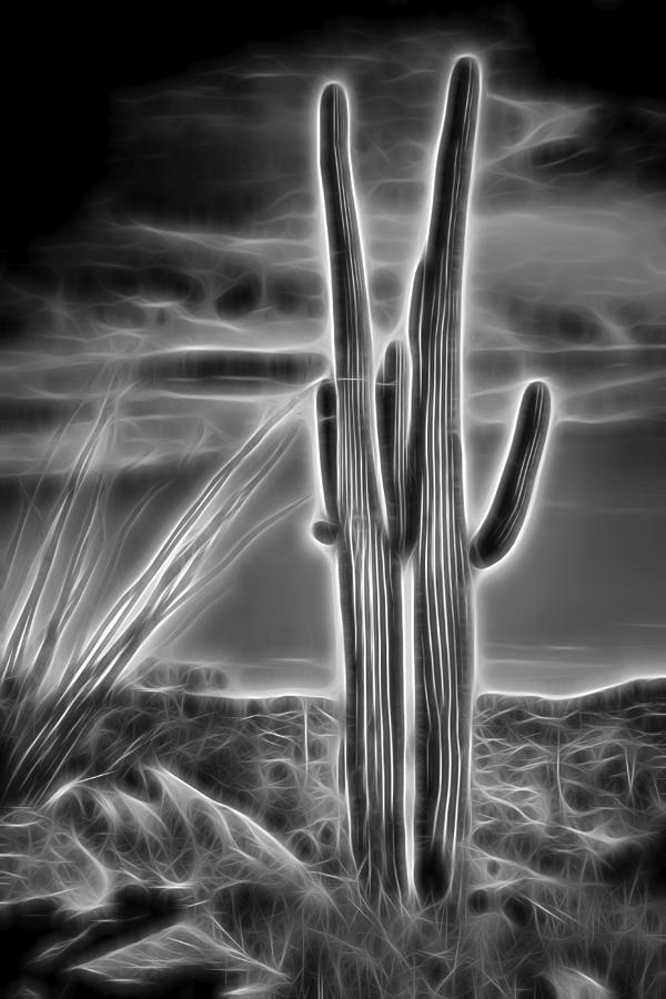 Phoenix Photograph - Glowing Pair by Kelley King
