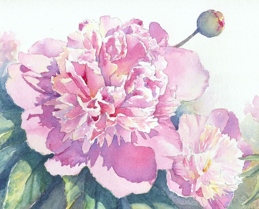 Glowing Peonies Painting by Diane Bender