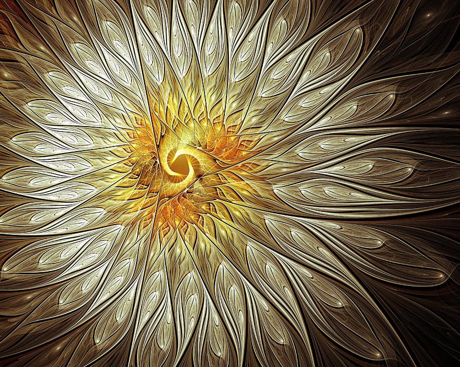 Glowing Petals Digital Art by Amanda Moore