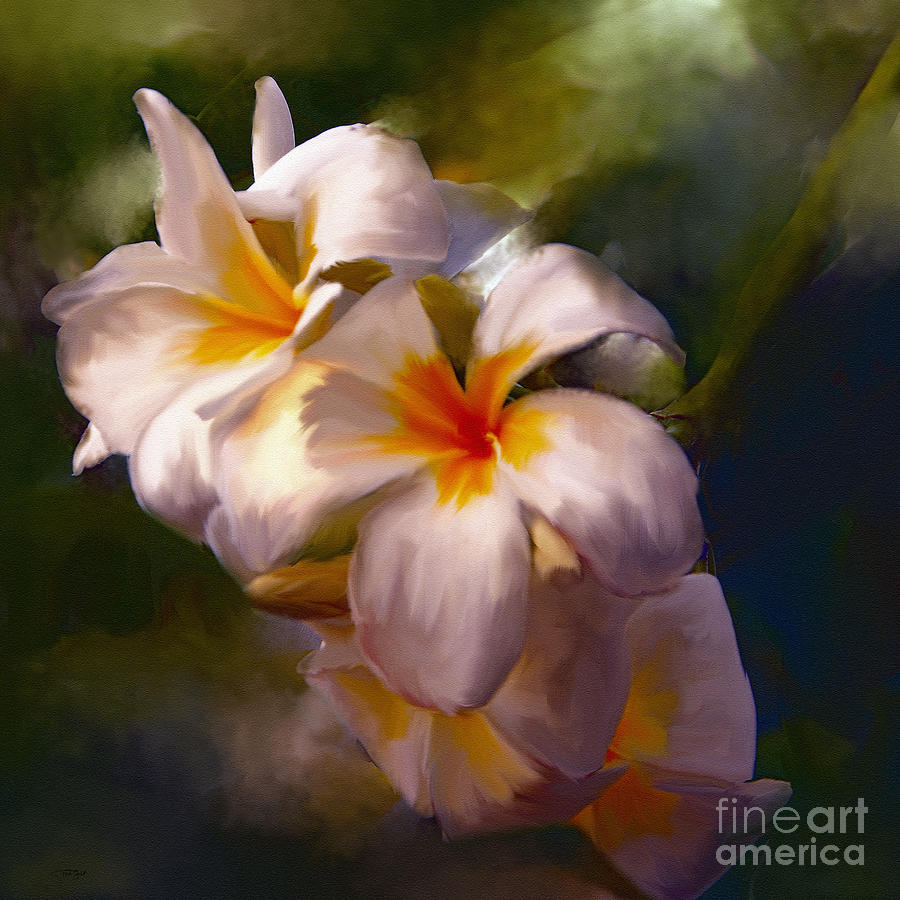 Glowing Plumeria Painting by Ted Guhl