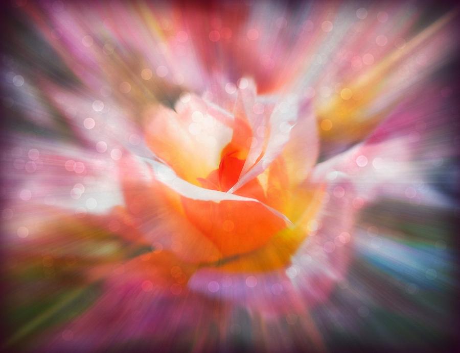 Glowing Rose fantasy 1 Digital Art by Lilia D