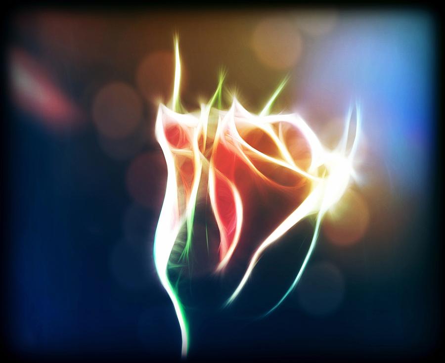Glowing Rose Digital Art by Lilia S