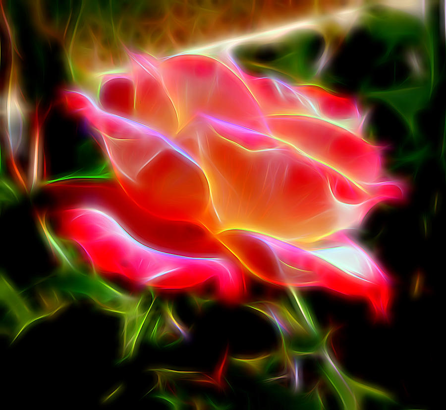 Glowing Rose Mixed Media by Pamela Walton