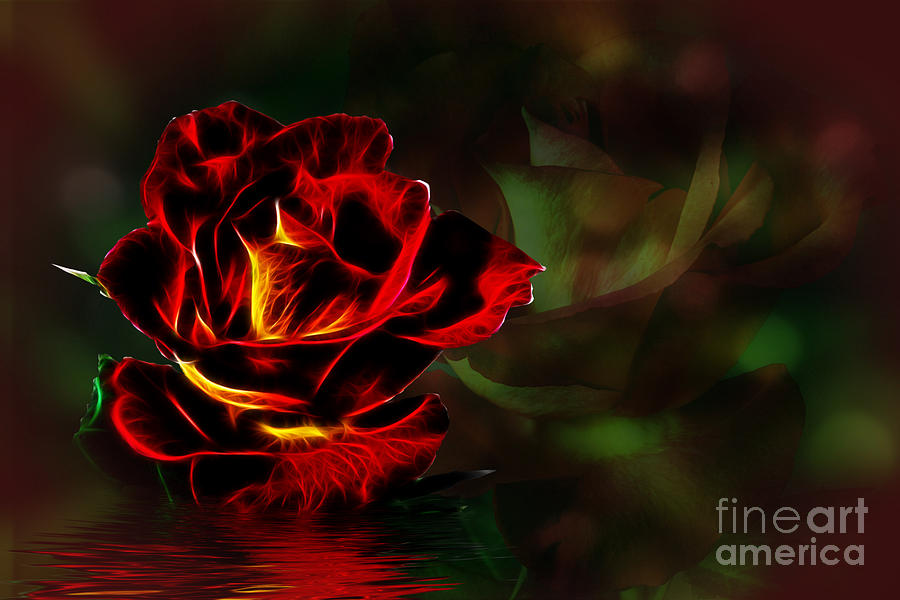 Rose Photograph - Glowing Rose by Shirley Mangini