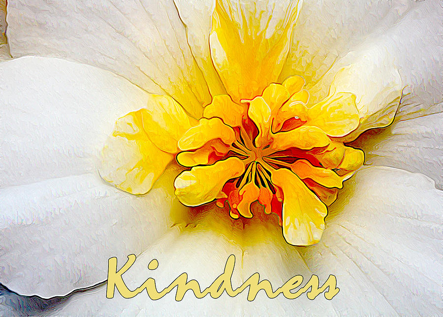 Kindness Photograph by ABeautifulSky Photography by Bill Caldwell