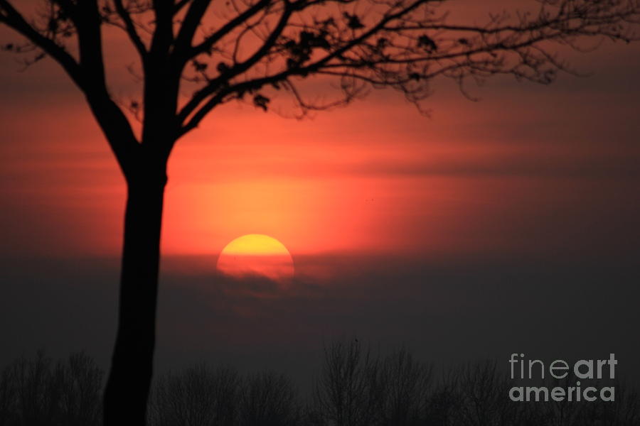 Sunset Photograph - Glowing Sunset in Winter No One by Four Hands Art