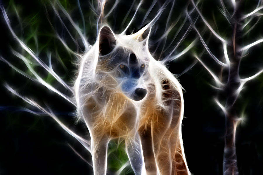 Glowing Wolf Photograph by Shane Bechler