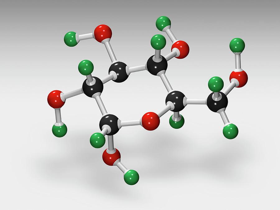 Как выглядит молекула сахара фото