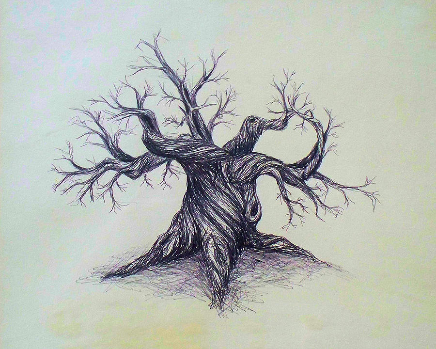 Gnarled Tree Drawing by Troy Caperton