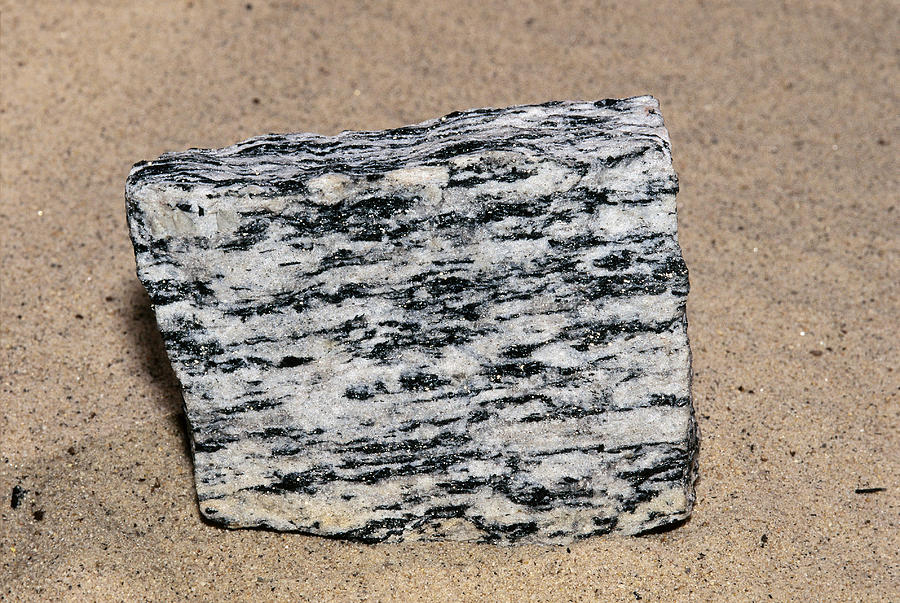 Gneiss Photograph by Andrew J. Martinez