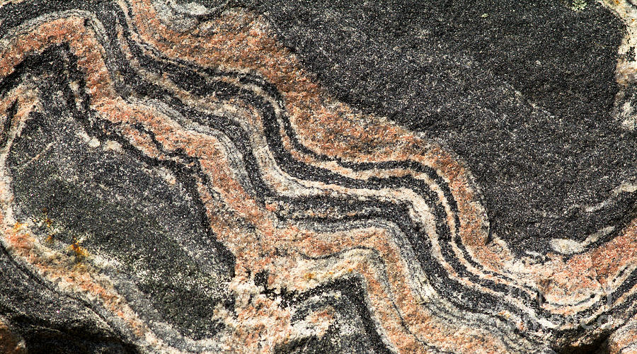 Nature Photograph - Gneiss Rock  by Les Palenik