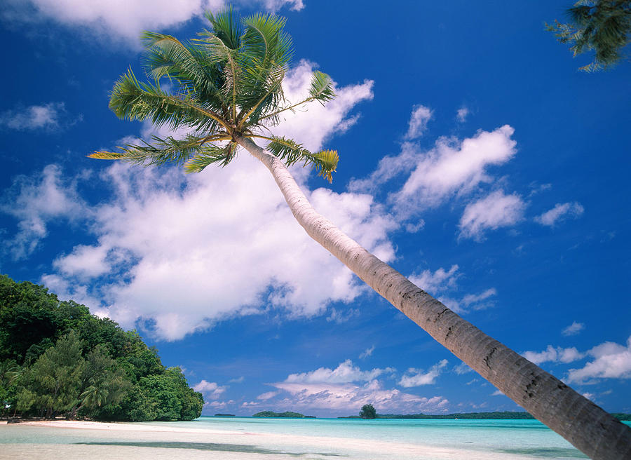 Gnemelis Island, Palau Photograph by F. Stuart Westmorland