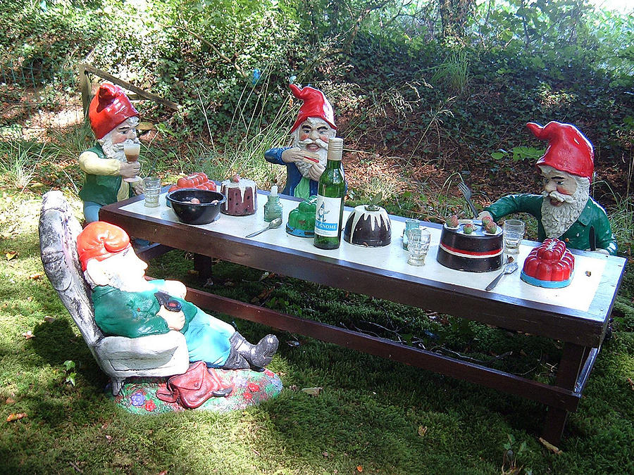 Gnome Cooking Photograph by Richard Brookes