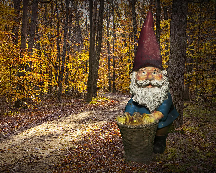 Gnome gathering mushrooms along an Autumn Forest Path Photograph by Randall Nyhof